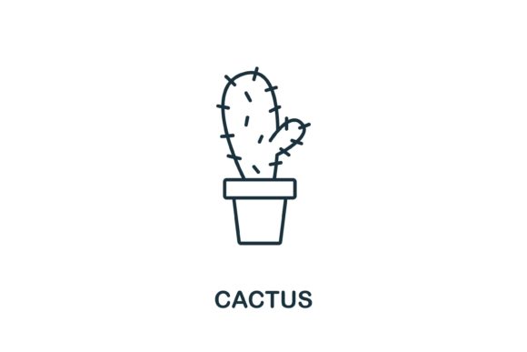Evaluating the Cactus Icon from Garden Collection for Professional Design Workflows