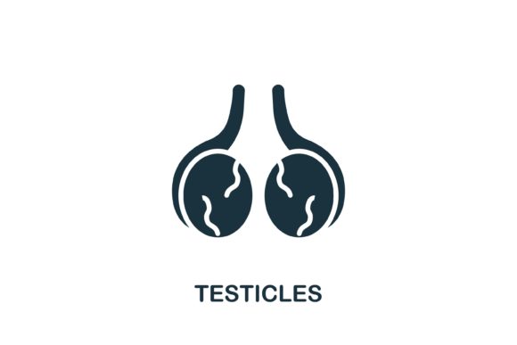Evaluating the Testicles Icon for Medical and Educational Design Projects