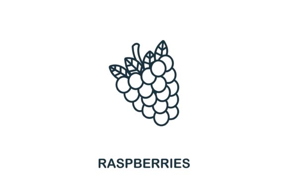 Integrating the Raspberries Icon from Fruits Collection into Modern Digital Design