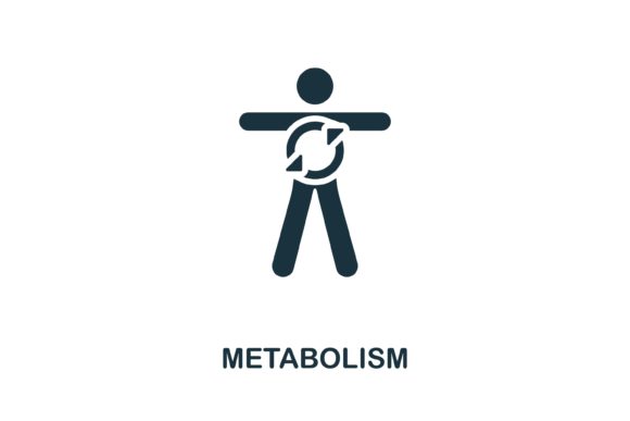 Metabolism Icon: Visualizing Health Concepts for Modern Digital Design