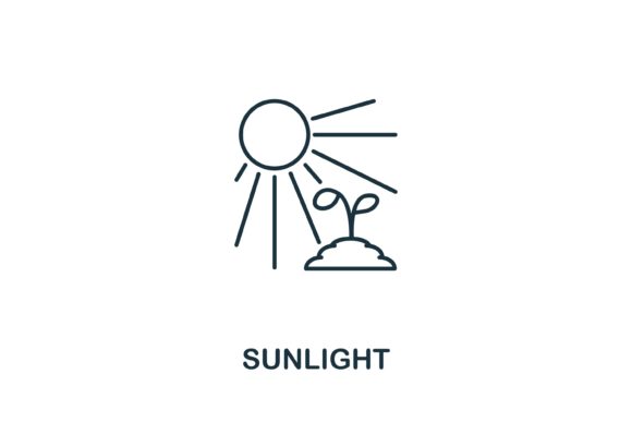 Sunlight Icon from Garden Collection for Design
